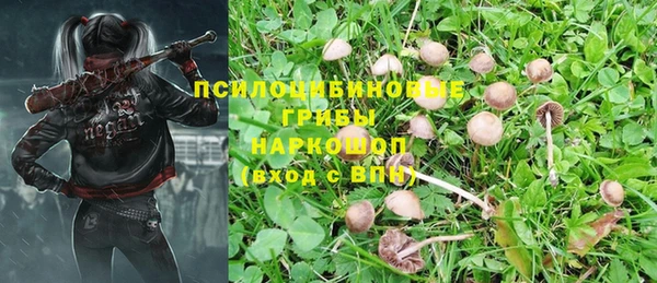 не бодяженный Аркадак